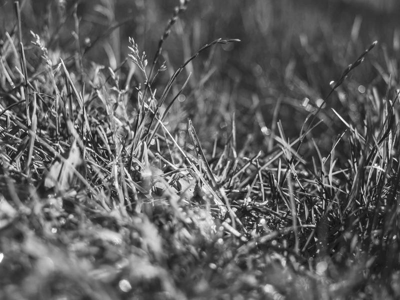 android screenshot 1